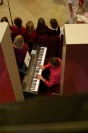 IMGP7186.JPG