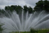 IMGP7847.JPG