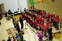 IMGP0968.JPG