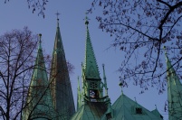 IMGP8451.JPG