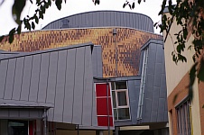 IMGP8310.JPG