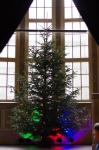 IMGP0796.JPG